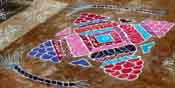 Kolams at Pudukottai