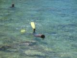 snorkeling