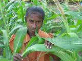 agriculture workers