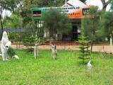 pandiyan restaurant