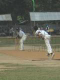 playing cricket