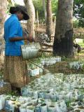 agriculture workers