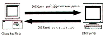 minc2.jpg (18872 bytes)
