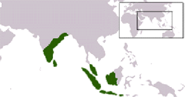 Chola Empire