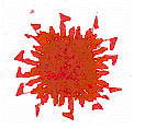 International League for the Rights and Liberation of Peoples 